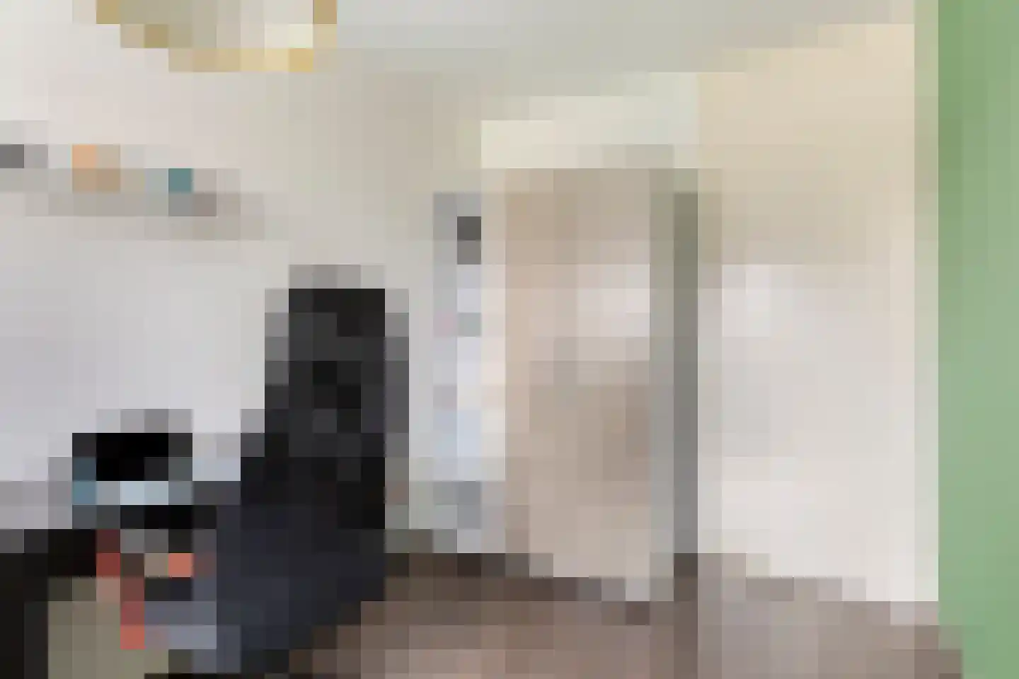 Jozef Israëlsplantsoen 16 Drunen thumbnail 28