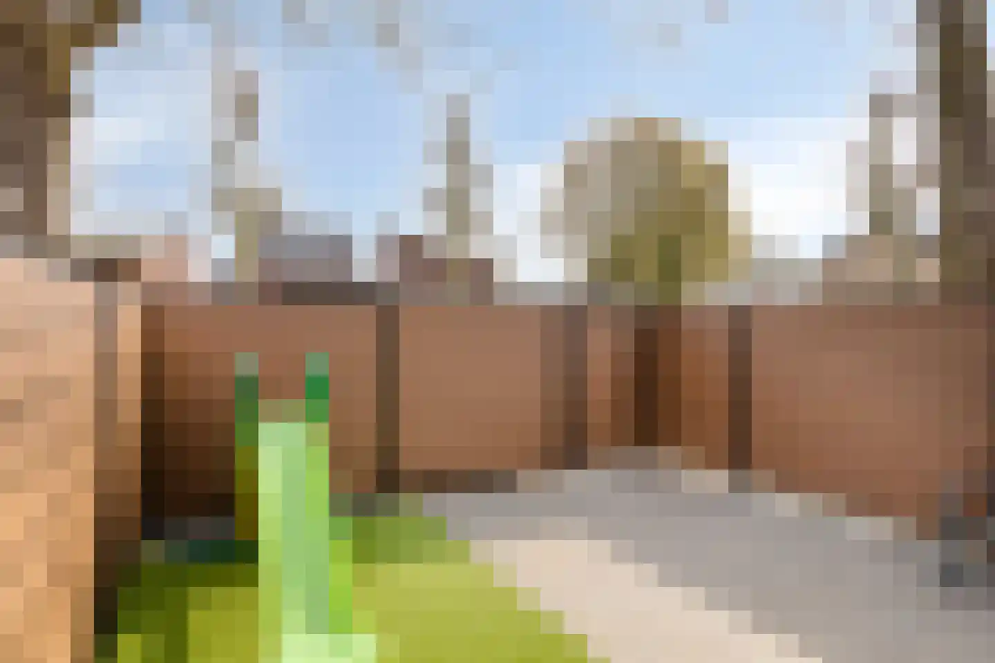 Jozef Israëlsplantsoen 16 Drunen thumbnail 37