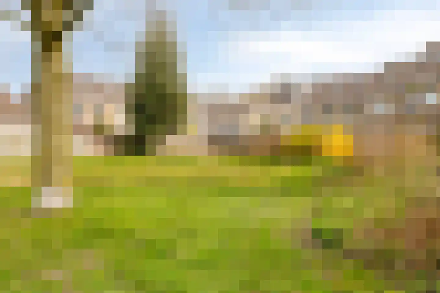 Jozef Israëlsplantsoen 16 Drunen thumbnail 42