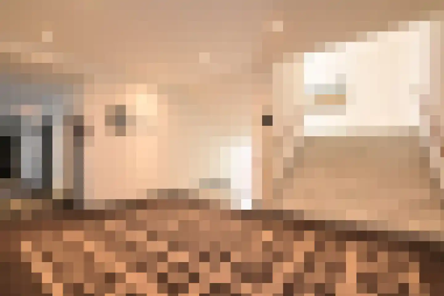 Jozef Israëlsplein 18 Den Haag thumbnail 11