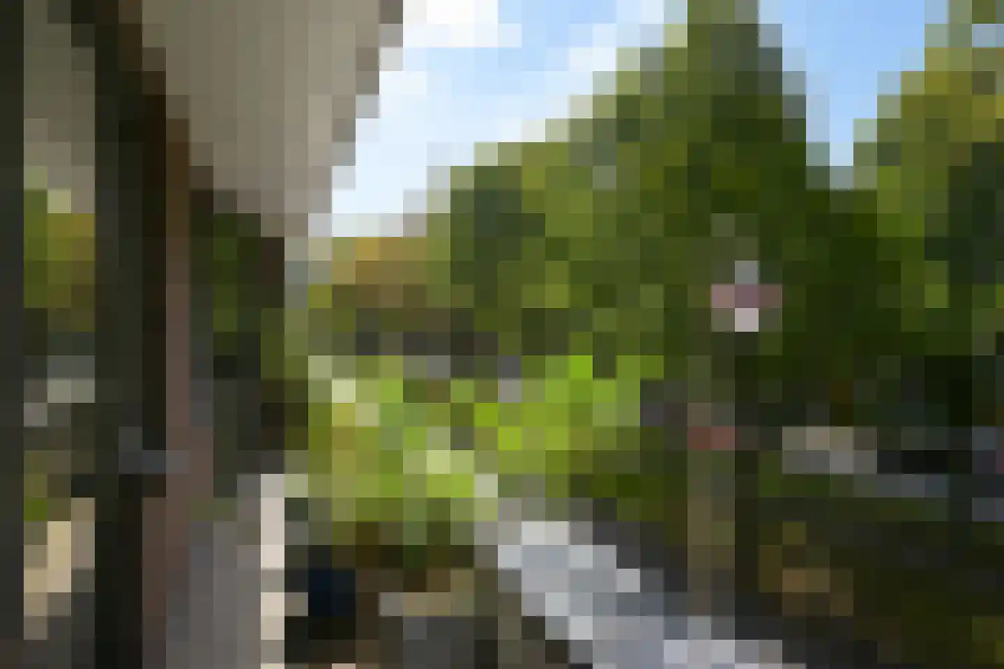 Jozef Israëlsplein 18 Den Haag thumbnail 44