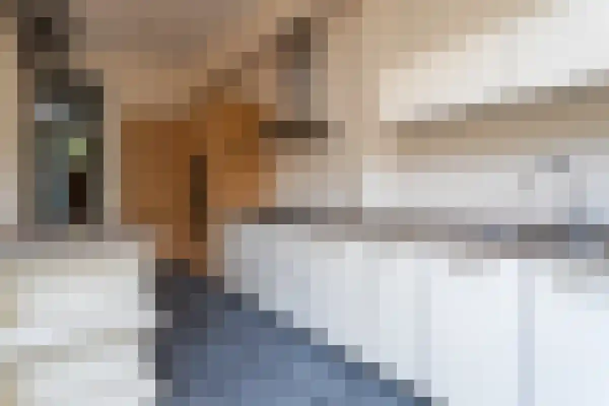 Jozef Israëlsplein 4 Den Haag thumbnail 6