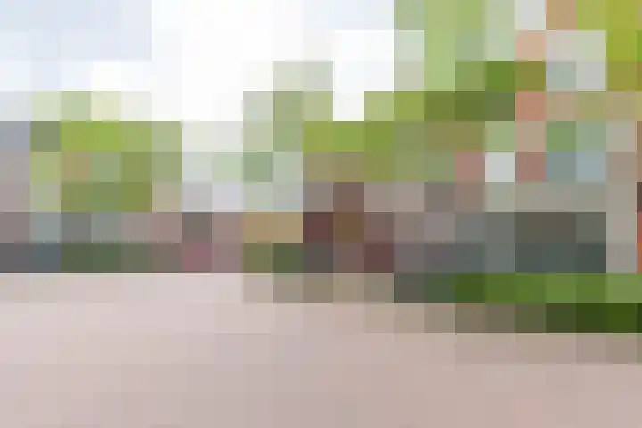 Jozef Israëlsplein 8 d Groningen thumbnail 10