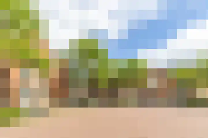 Jozef Israëlsplein 8 d Groningen thumbnail 12