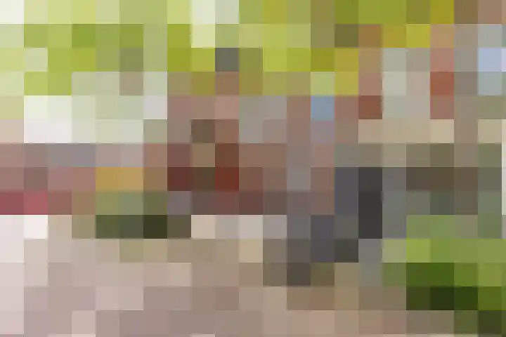 Jozef Israëlsplein 8 d Groningen thumbnail 13