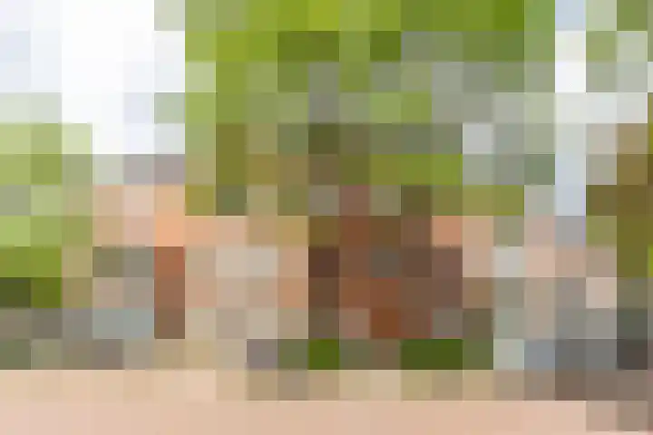 Jozef Israëlsplein 8 d Groningen thumbnail 15