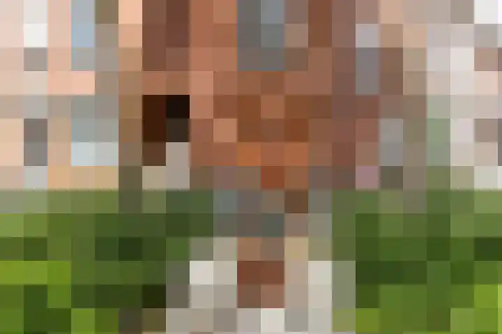 Jozef Israëlsplein 8 d Groningen thumbnail 17