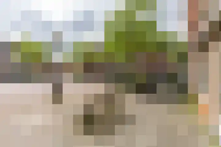 Jozef Israëlsplein 8 d Groningen thumbnail 18