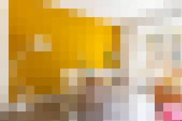 Jozef Israëlsplein 8 d Groningen thumbnail 29