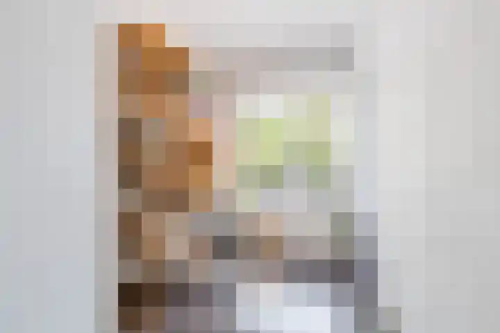 Jozef Israëlsplein 8 d Groningen thumbnail 36