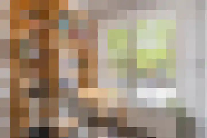 Jozef Israëlsplein 8 d Groningen thumbnail 37