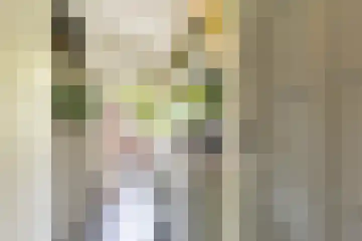 Jozef Israëlsplein 8 d Groningen thumbnail 42