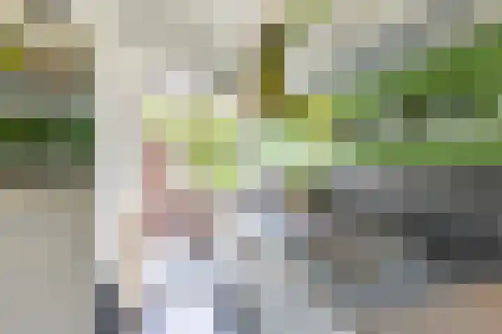 Jozef Israëlsplein 8 d Groningen thumbnail 43