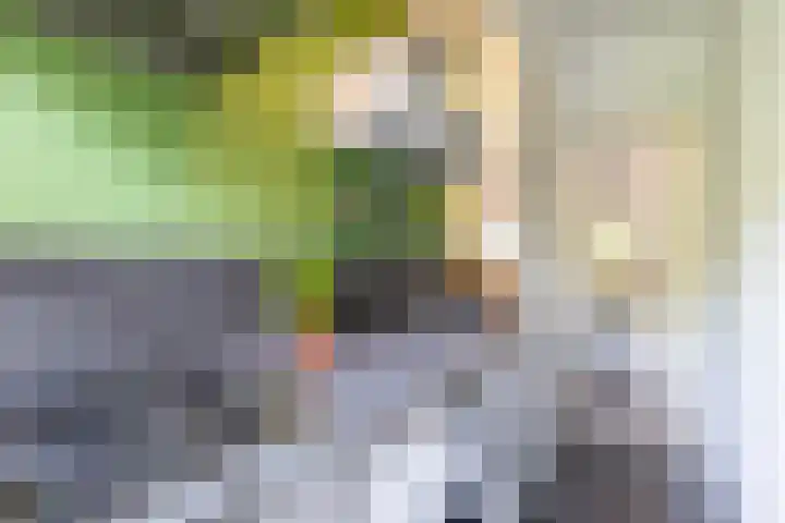 Jozef Israëlsplein 8 d Groningen thumbnail 44