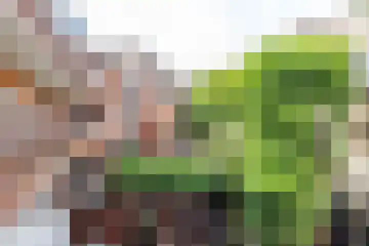 Jozef Israëlsplein 8 d Groningen thumbnail 48
