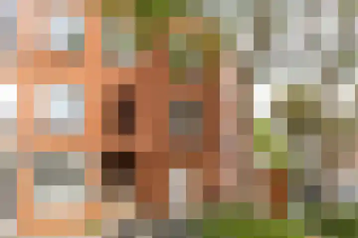 Jozef Israëlsplein 8 d Groningen thumbnail 8