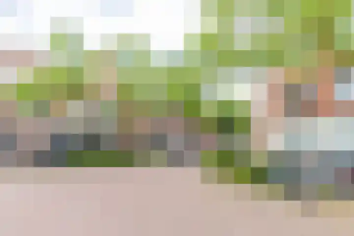 Jozef Israëlsplein 8 d Groningen thumbnail 9