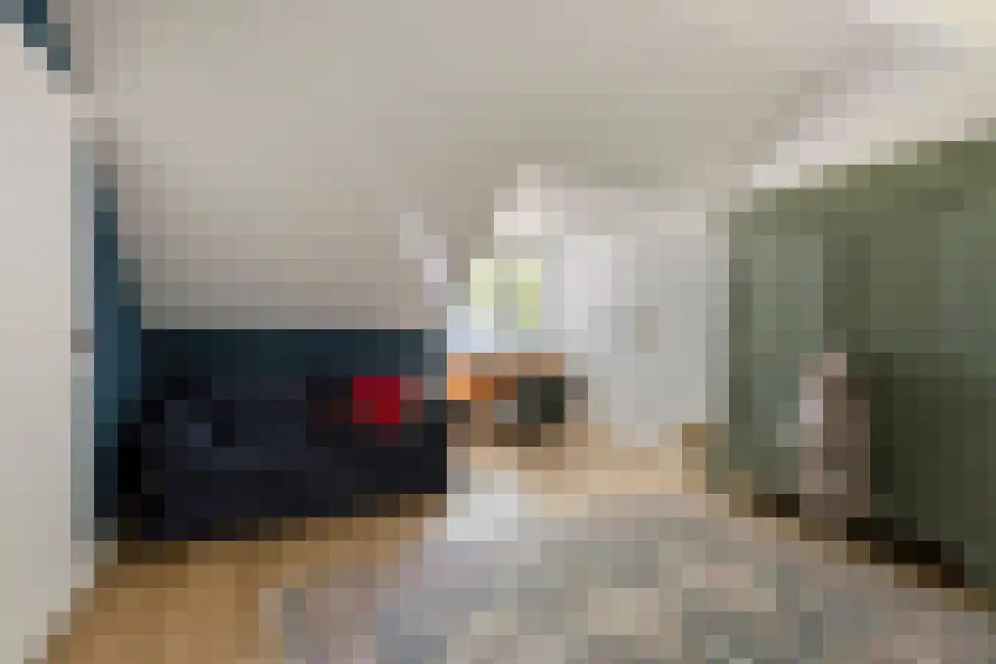 Jozef Israëlsstraat 10 Oisterwijk thumbnail 33