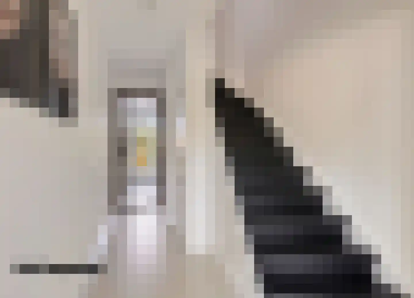 Jozef Israëlsstraat 10 Oisterwijk thumbnail 5