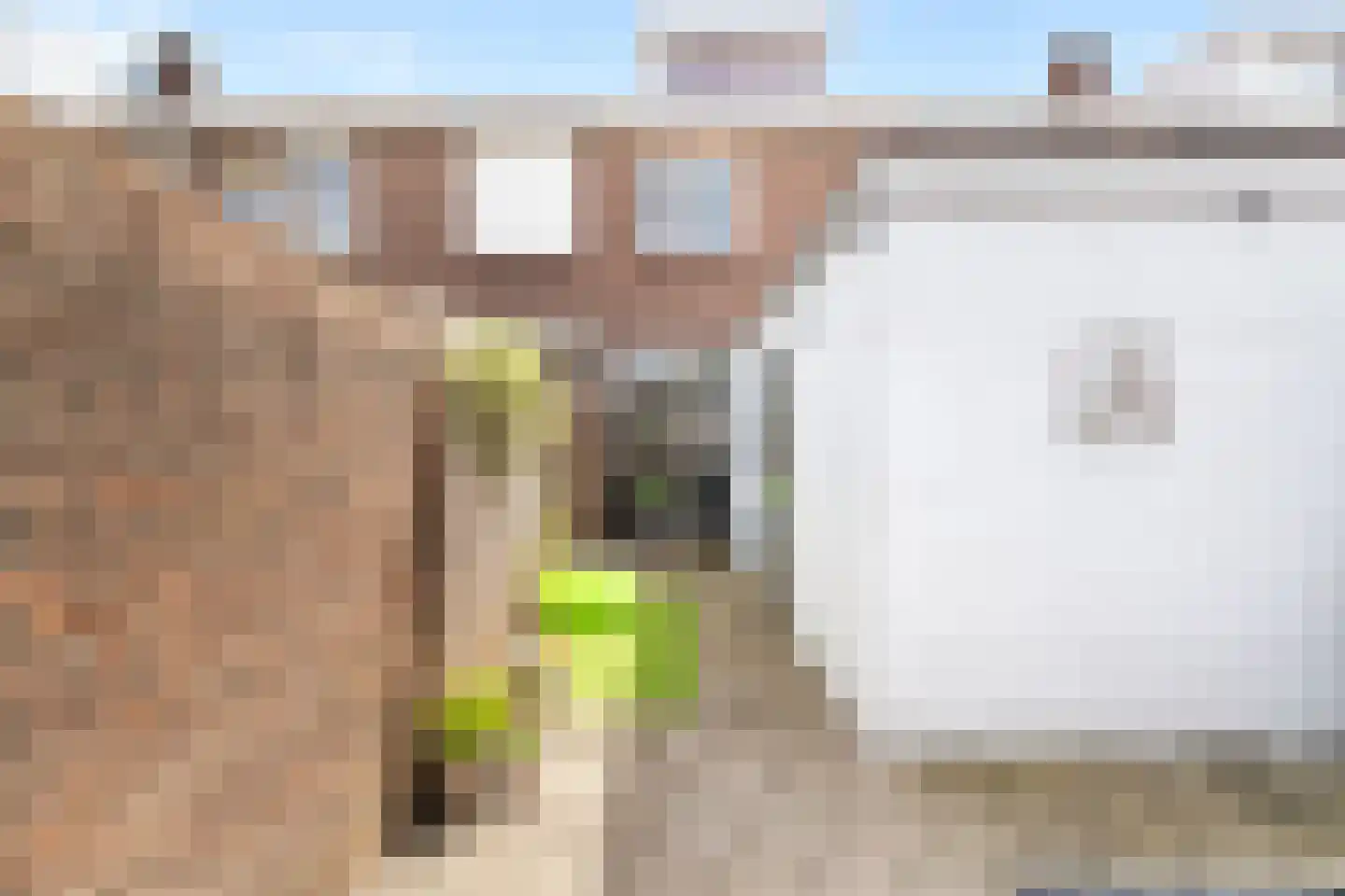 Jozef Israëlsstraat 11 Tilburg thumbnail 30