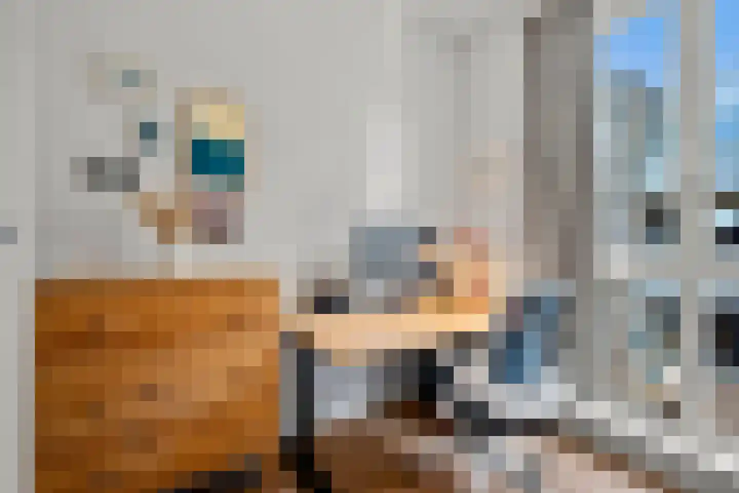 Jozef Israëlsstraat 12 Haarlem thumbnail 33