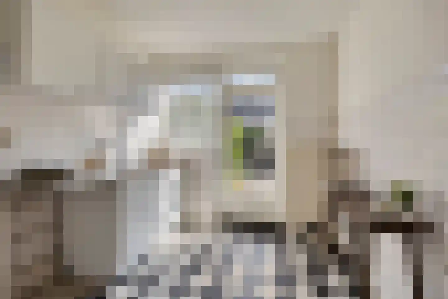 Jozef Israëlsstraat 13 Oisterwijk thumbnail 14