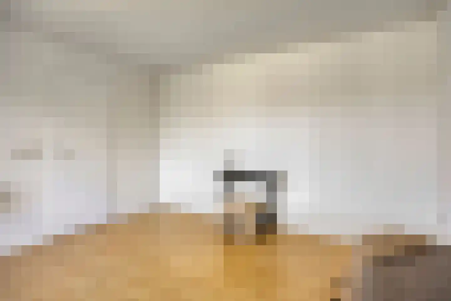 Jozef Israëlsstraat 13 Oisterwijk thumbnail 26