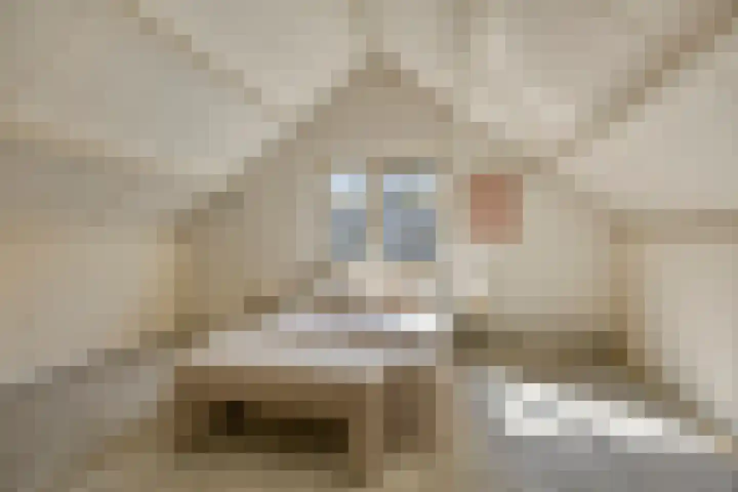 Jozef Israëlsstraat 13 Oisterwijk thumbnail 29