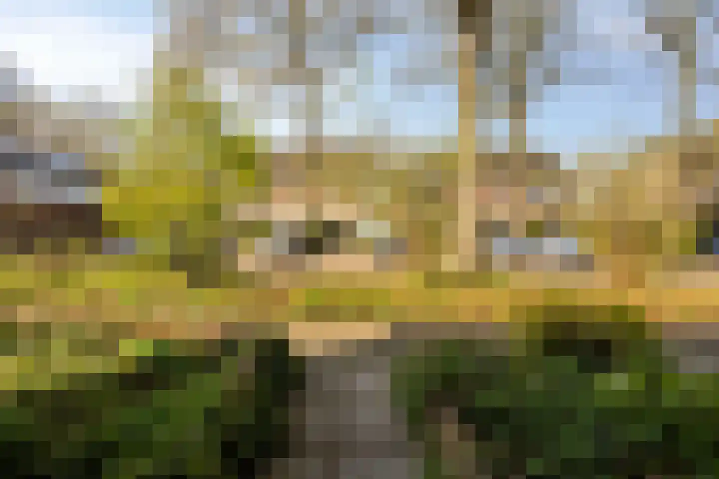 Jozef Israëlsstraat 13 Oisterwijk thumbnail 4