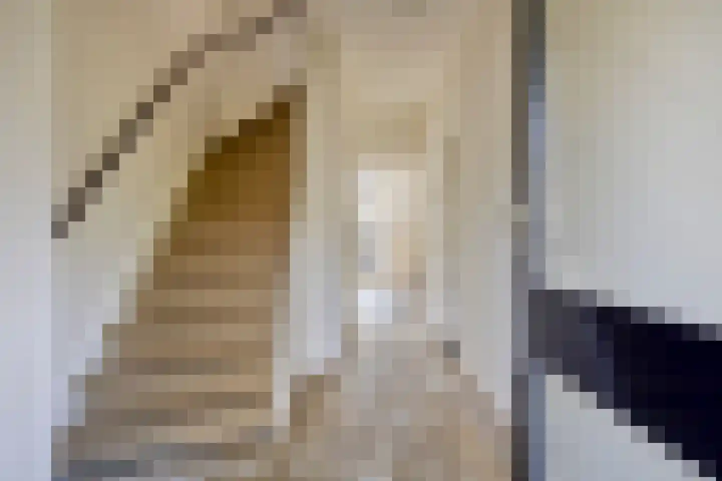 Jozef Israëlsstraat 13 Oisterwijk thumbnail 5