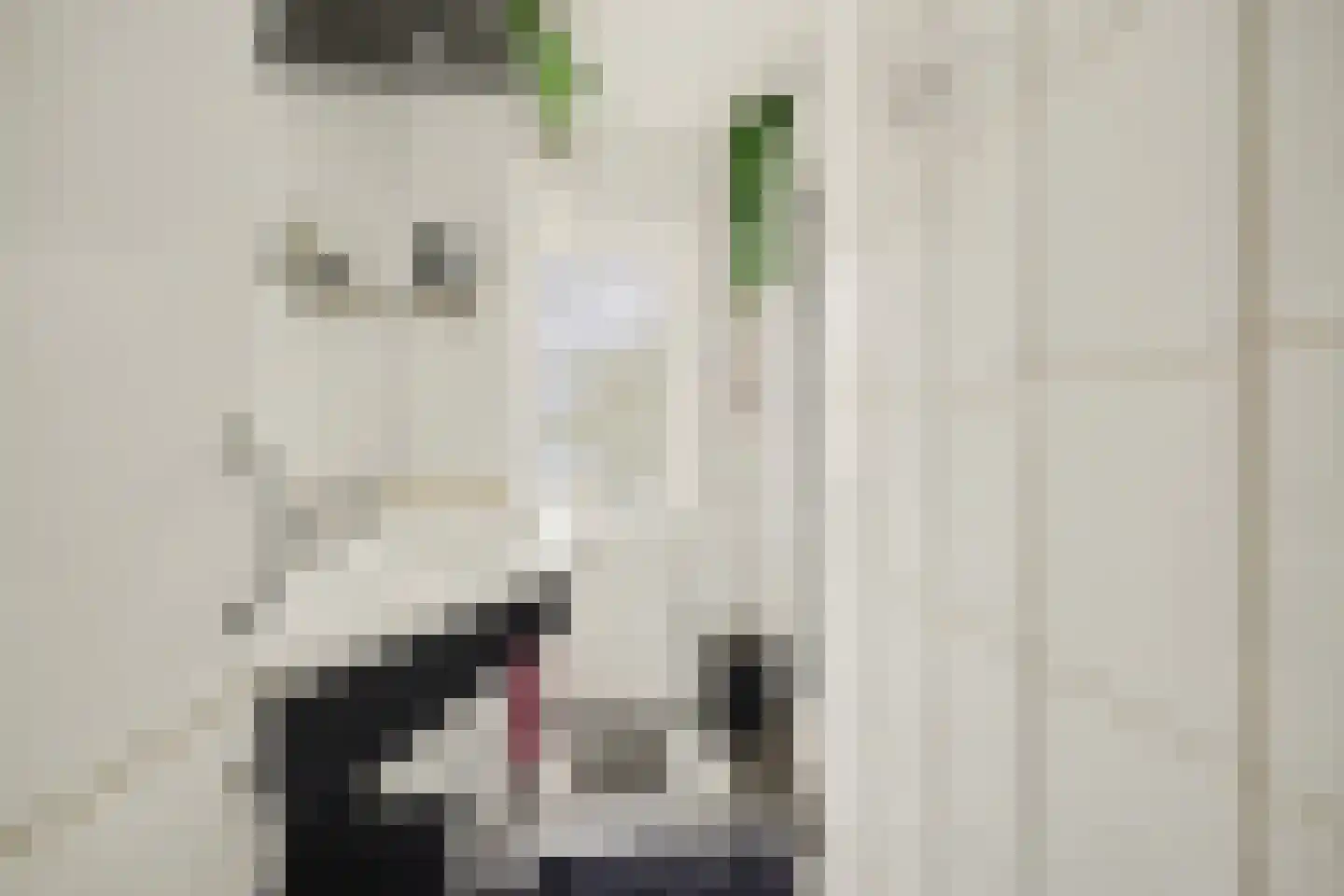 Jozef Israëlsstraat 14 Goes thumbnail 17