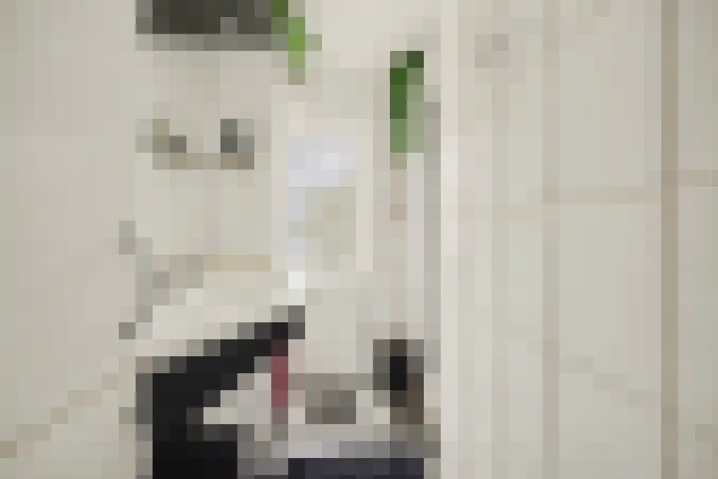 Jozef Israëlsstraat 14 Goes thumbnail 18