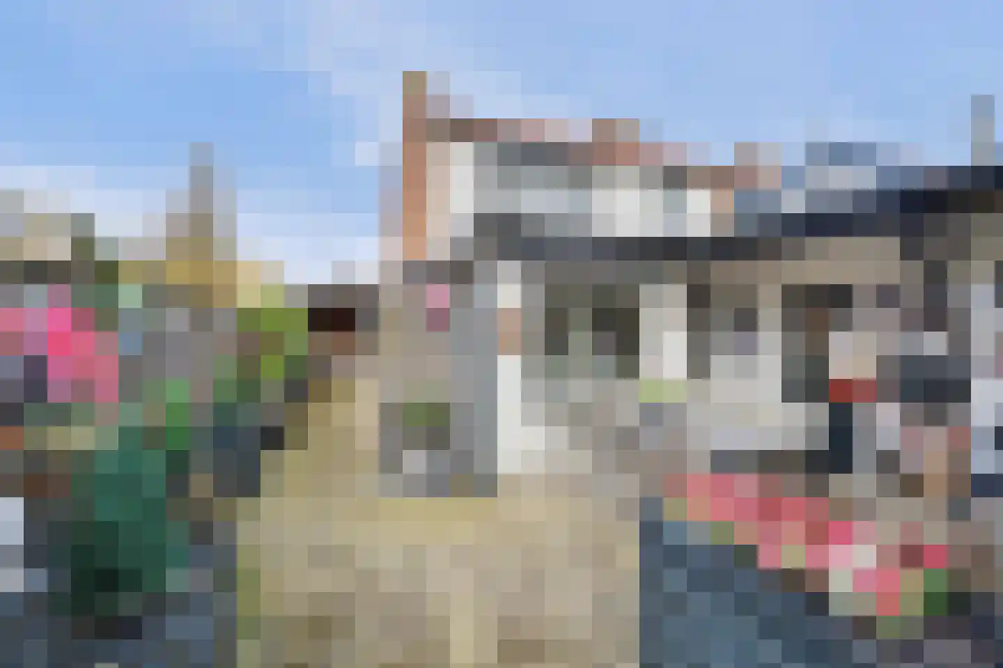 Jozef Israëlsstraat 14 Goes thumbnail 20