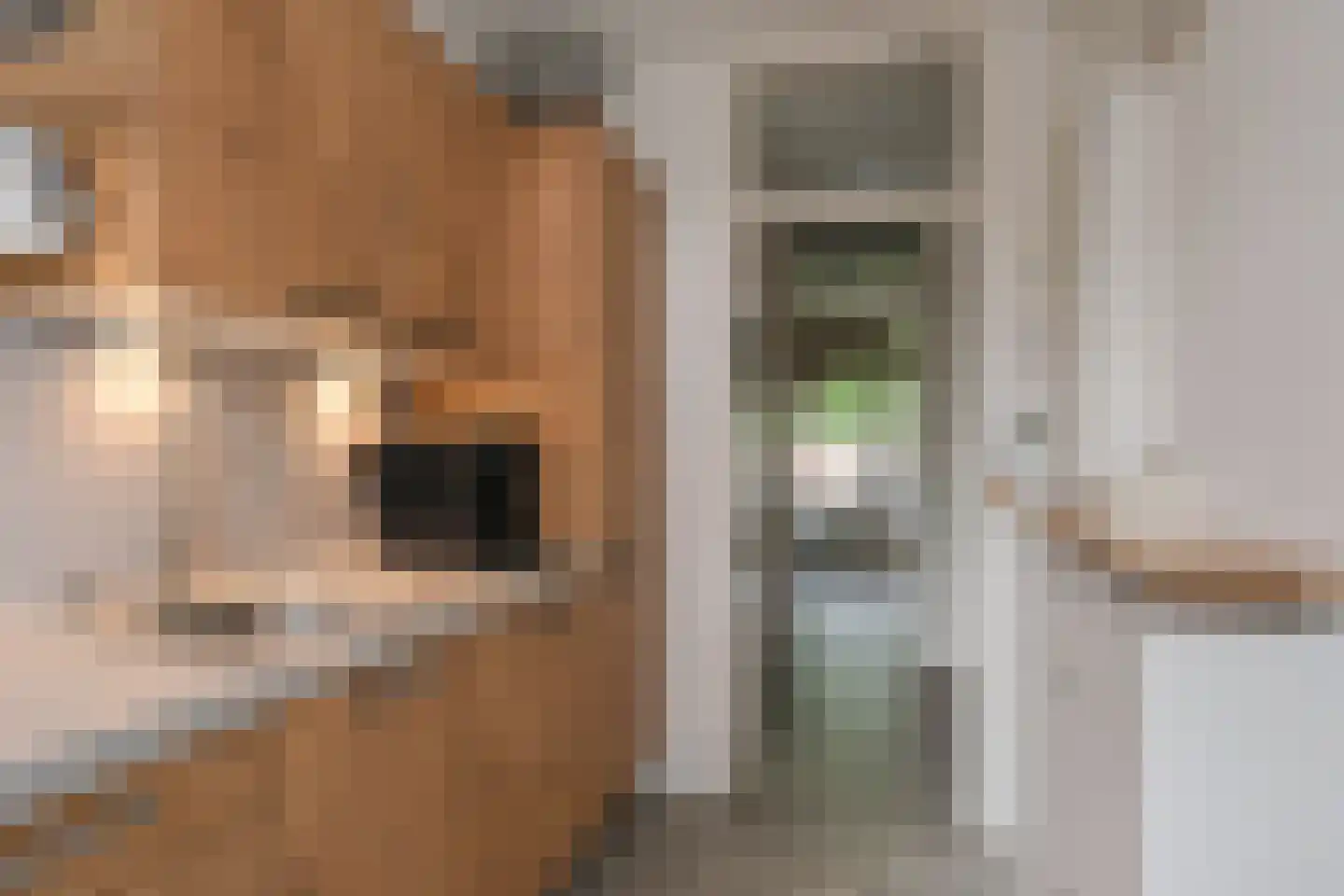 Jozef Israëlsstraat 15 Almelo thumbnail 8