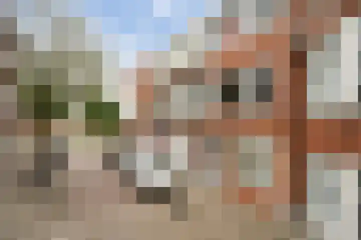 Jozef Israëlsstraat 16 A Schiedam thumbnail 55