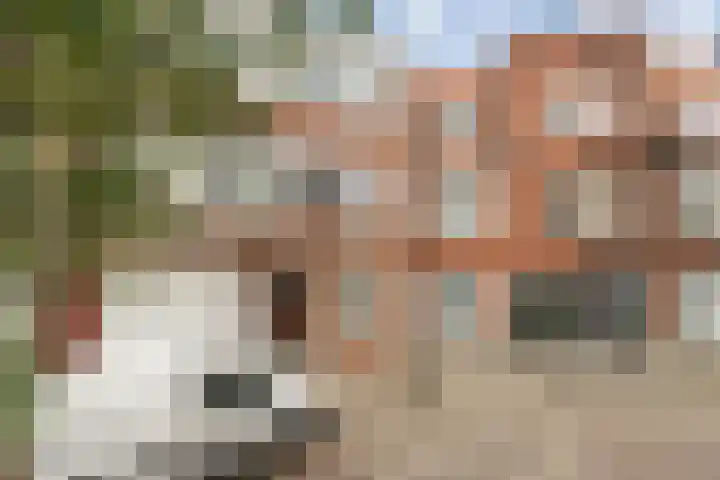 Jozef Israëlsstraat 16 A Schiedam thumbnail 6