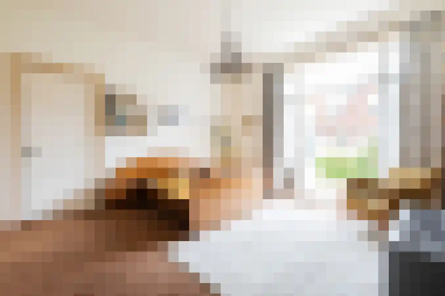 Jozef Israëlsstraat 24 Groningen thumbnail 31