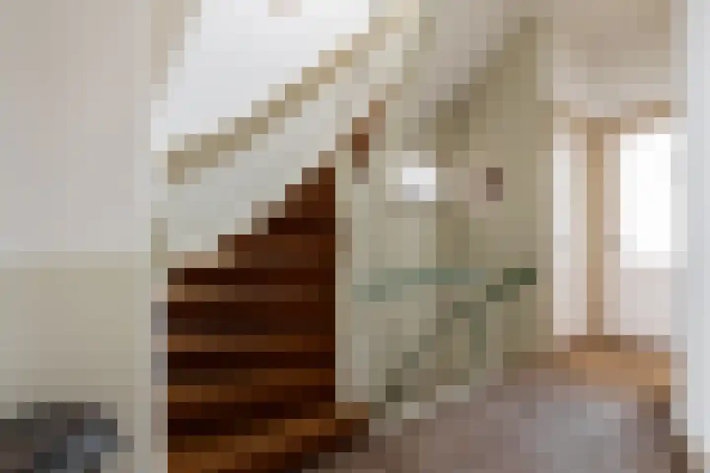 Jozef Israëlsstraat 24 Groningen thumbnail 33