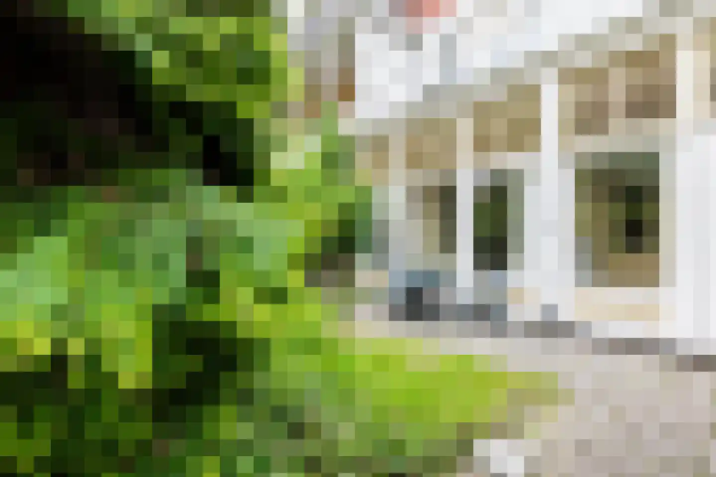 Jozef Israëlsstraat 24 Groningen thumbnail 4