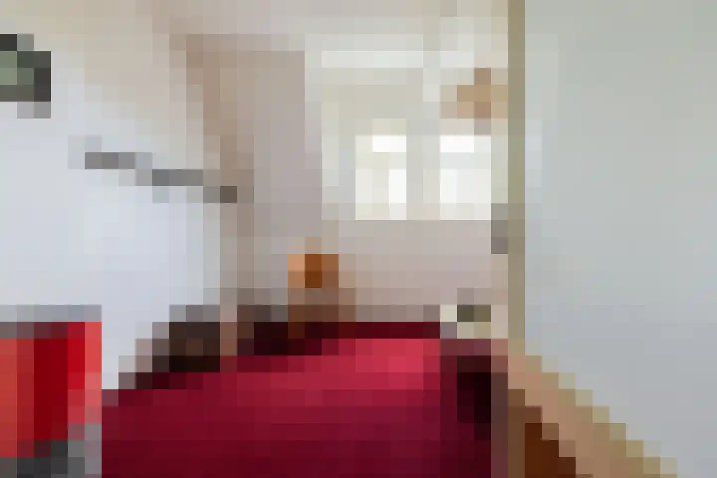 Jozef Israëlsstraat 24 Groningen thumbnail 51