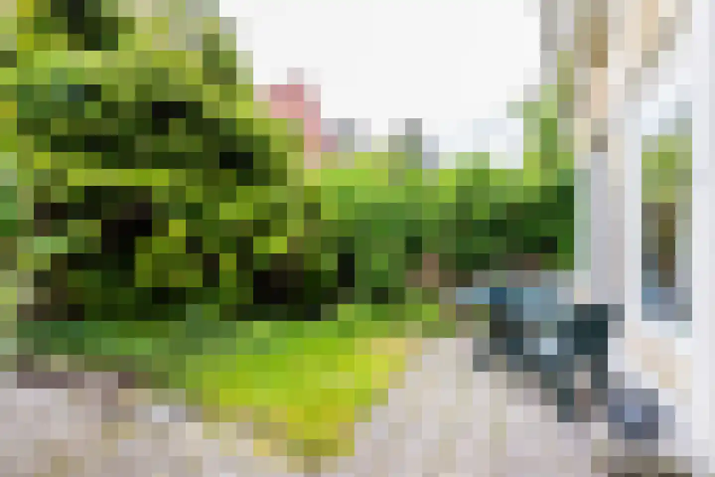 Jozef Israëlsstraat 24 Groningen thumbnail 56