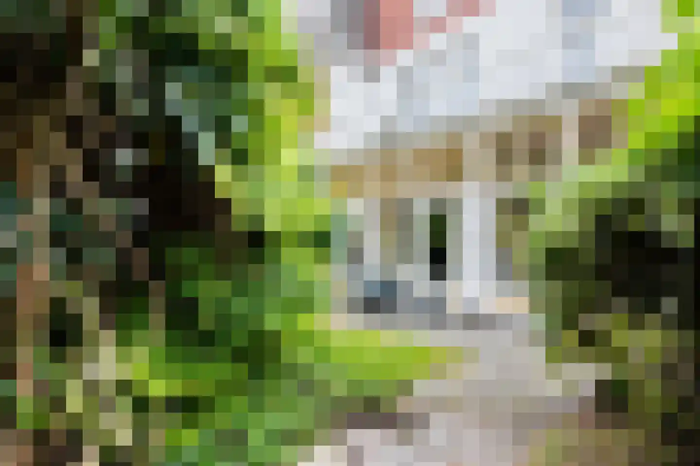 Jozef Israëlsstraat 24 Groningen thumbnail 57