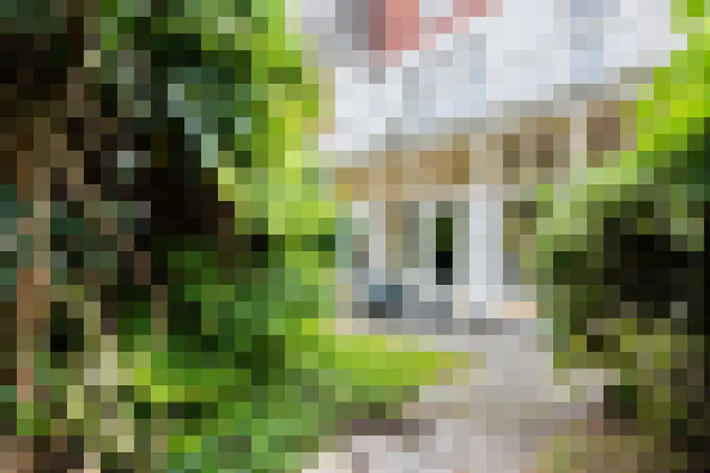 Jozef Israëlsstraat 24 Groningen thumbnail 58