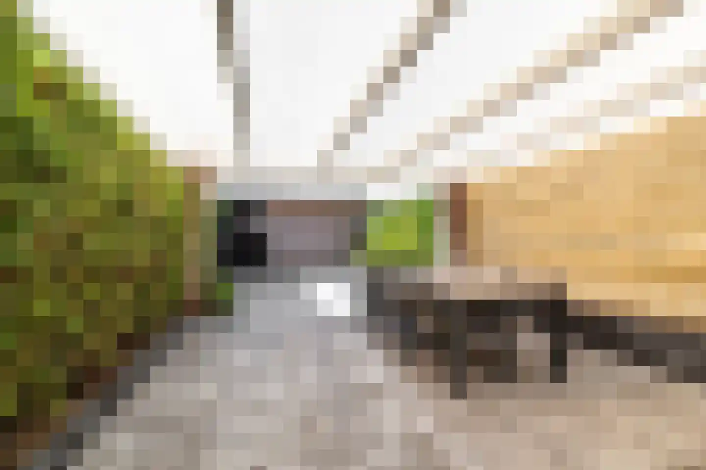 Jozef Israëlsstraat 27 Heerlen thumbnail 18