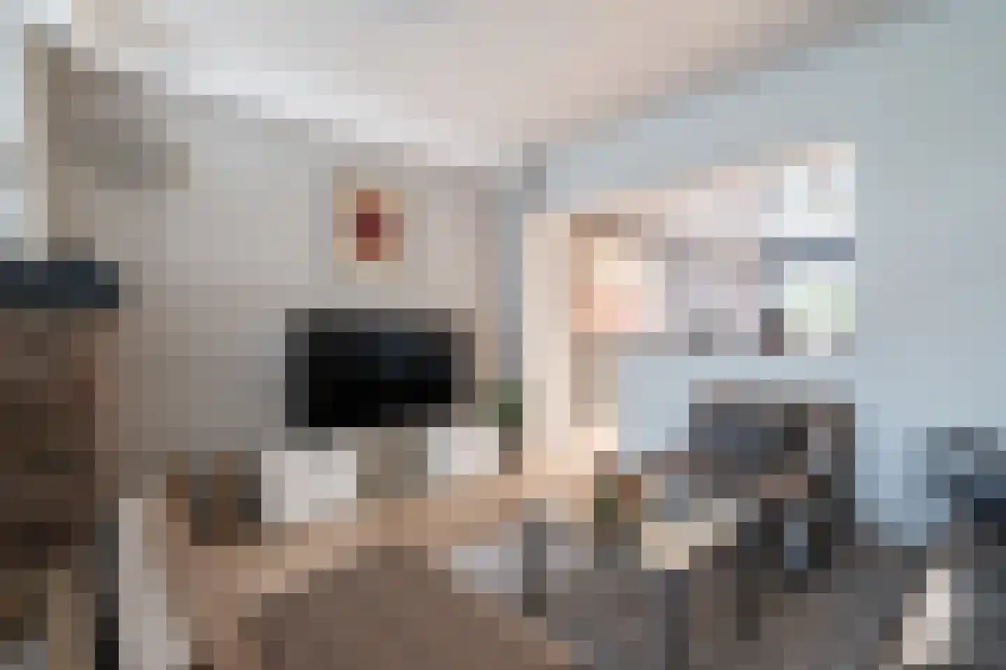 Jozef Israëlsstraat 27 Heerlen thumbnail 6