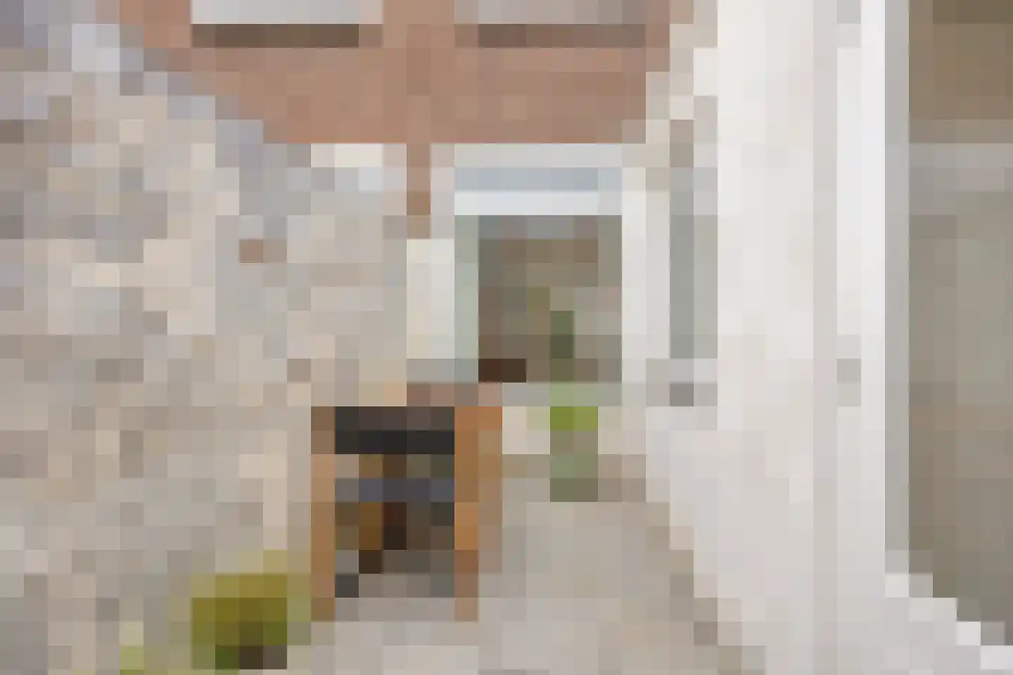 Jozef Israëlsstraat 27 Tilburg thumbnail 33