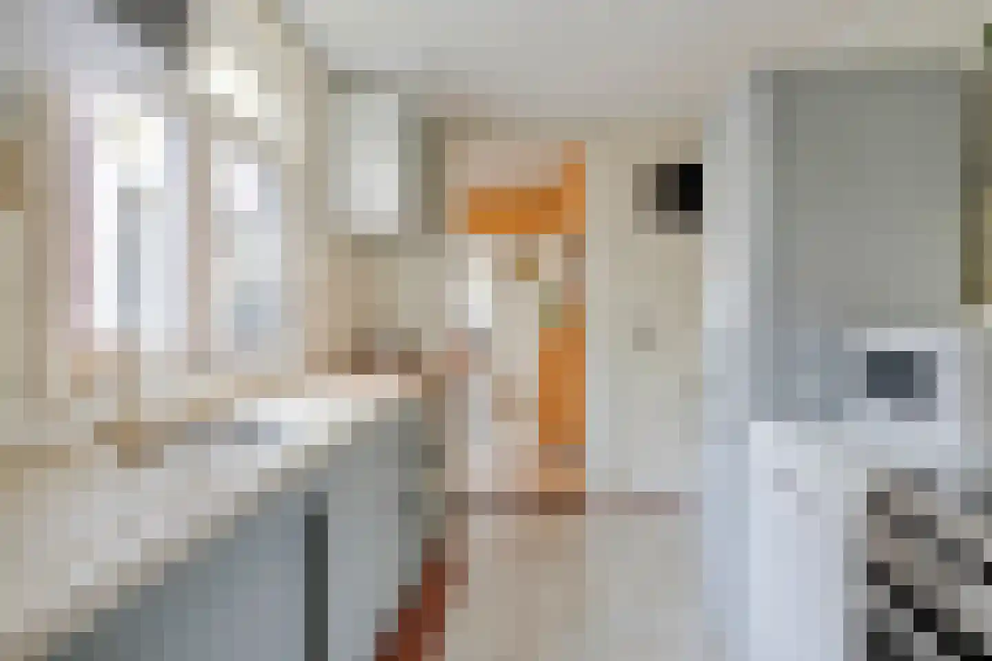 Jozef Israëlsstraat 3 Tilburg thumbnail 11