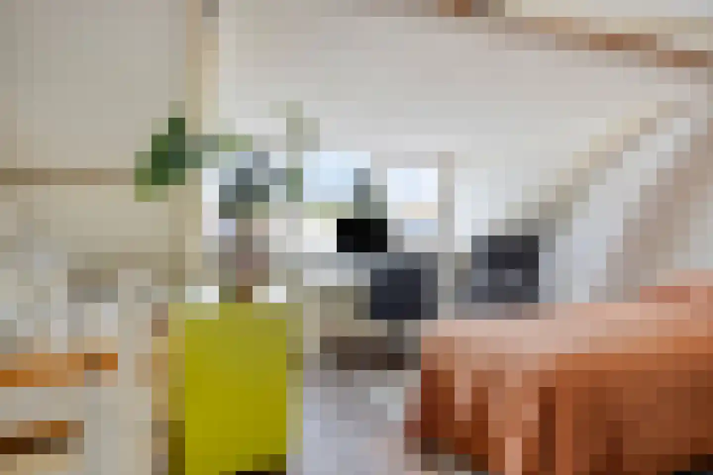 Jozef Israëlsstraat 3 Tilburg thumbnail 20