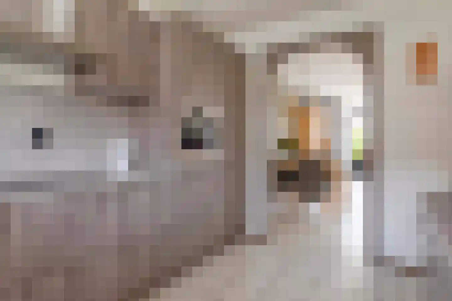 Jozef Israëlsstraat 30 Krimpen aan den IJssel thumbnail 8