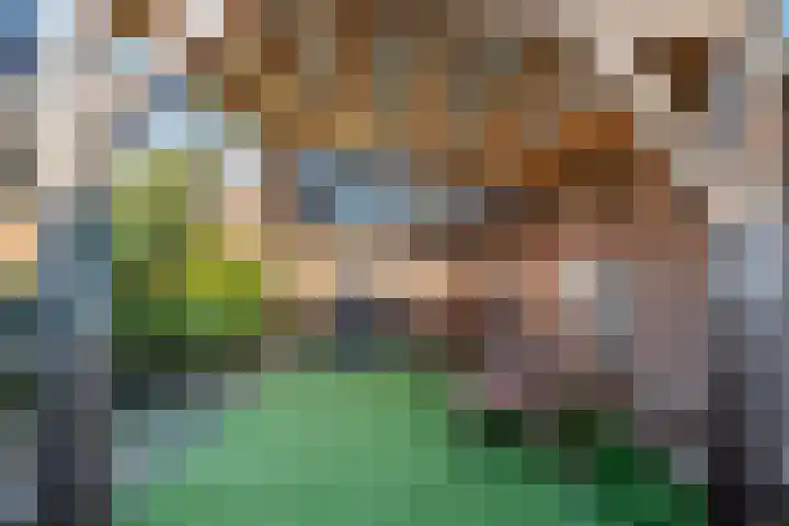 Jozef Israëlsstraat 34 Tiel thumbnail 7